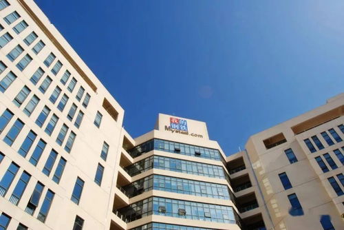 負反饋未竟，鋼價磨底中——Mysteel鋼鐵市場周度觀察與房地產咨詢解析